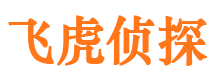 翠峦侦探公司